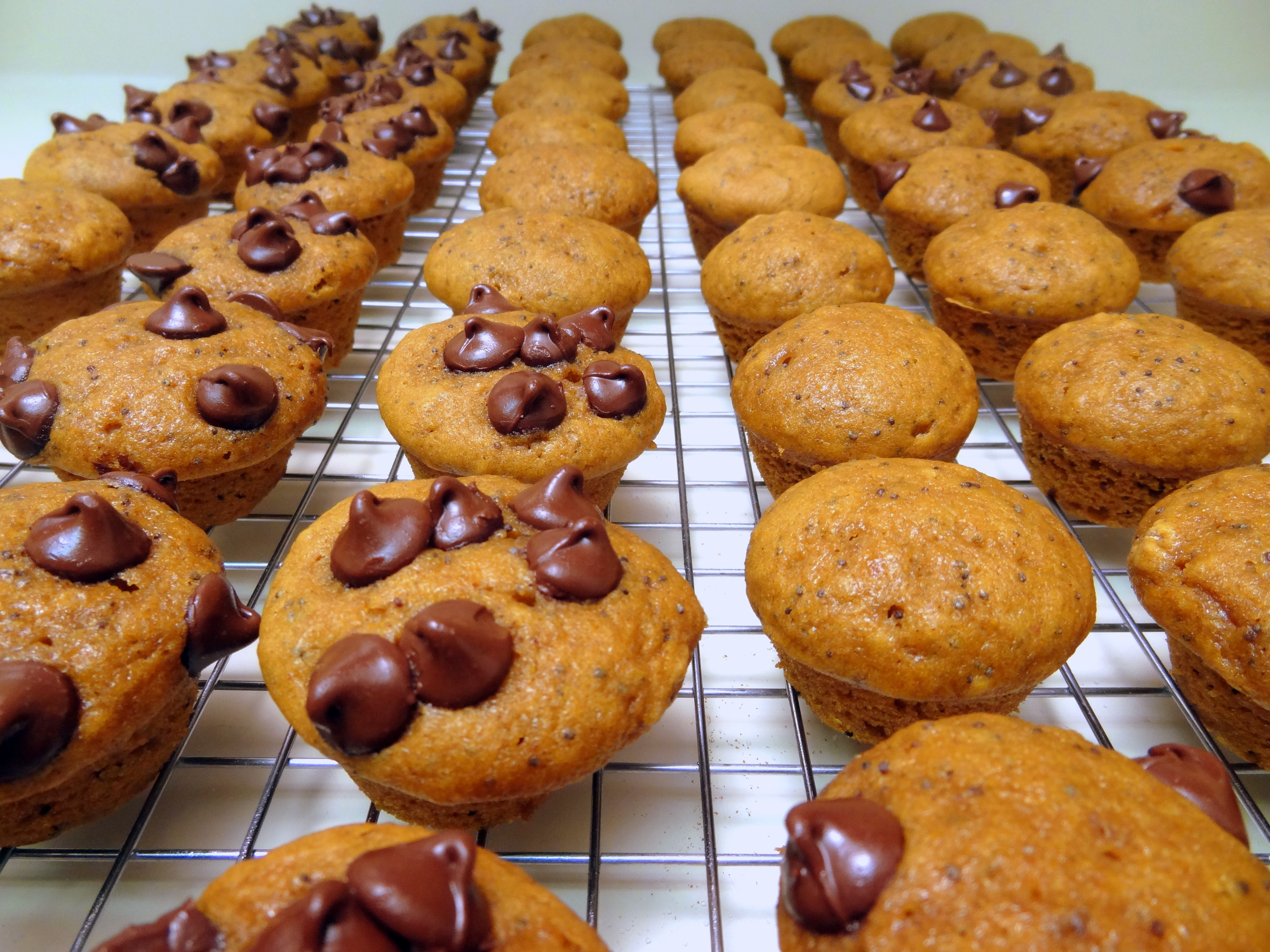 mini poppy seed chai pumpkin muffins