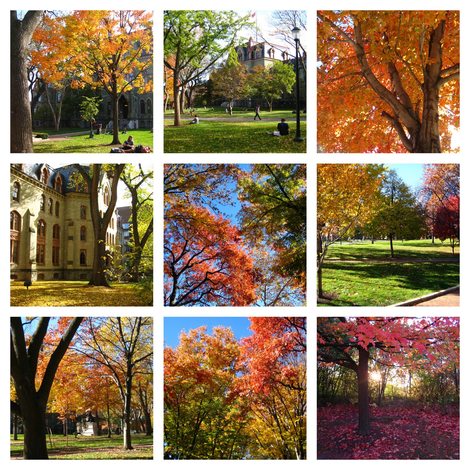 fall colors collage