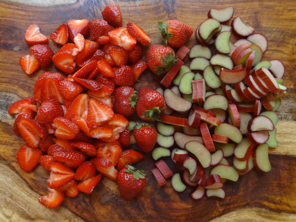 strawberry rhubarb galette