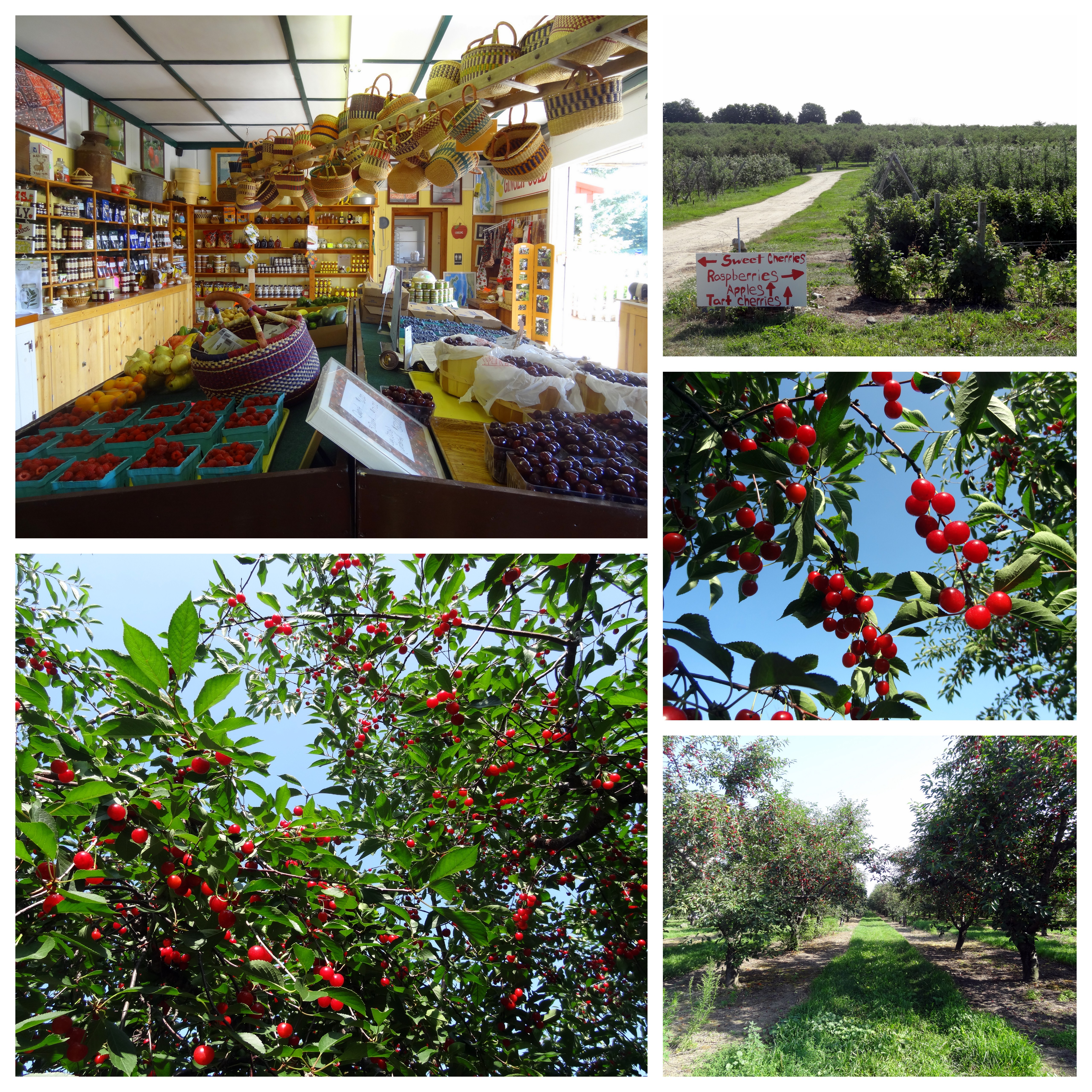 King Orchards