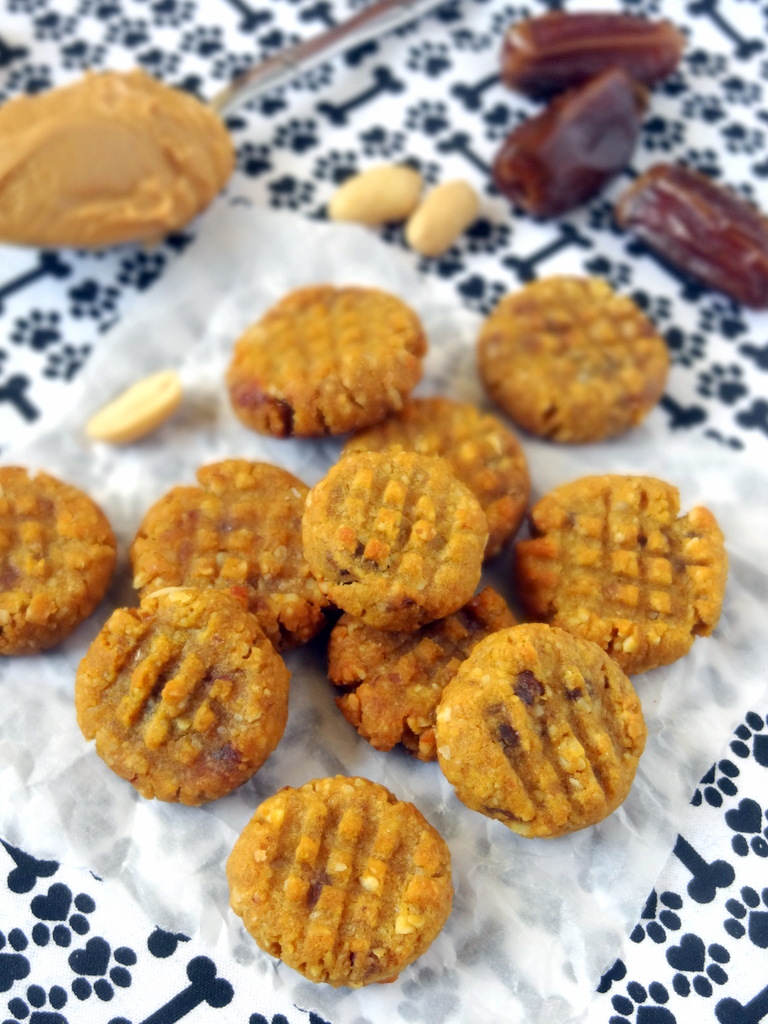 peanut butter pumpkin cookies for dogs