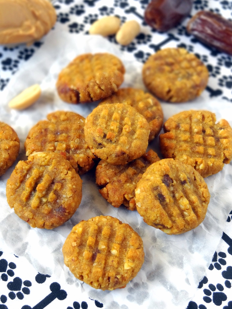 peanut butter pumpkin cookies for dogs